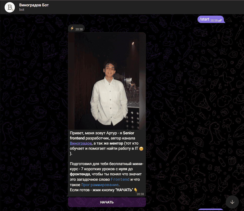 vinogradov-bot